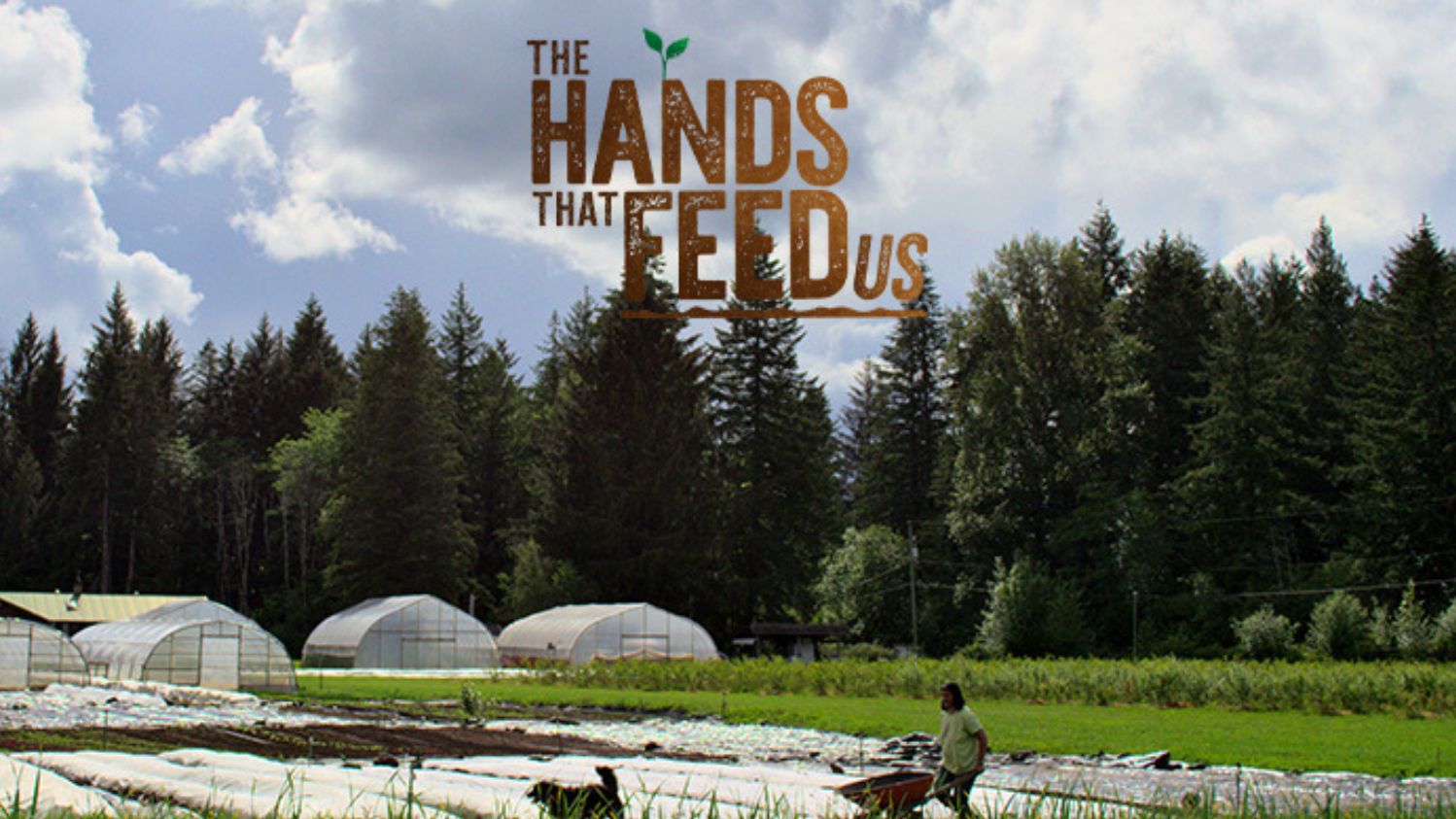 The Hands That Feed Us